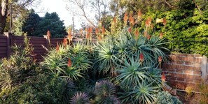 Studio Standar, 1 kamar tidur (Studio with fan) | Pemandangan dari kamar