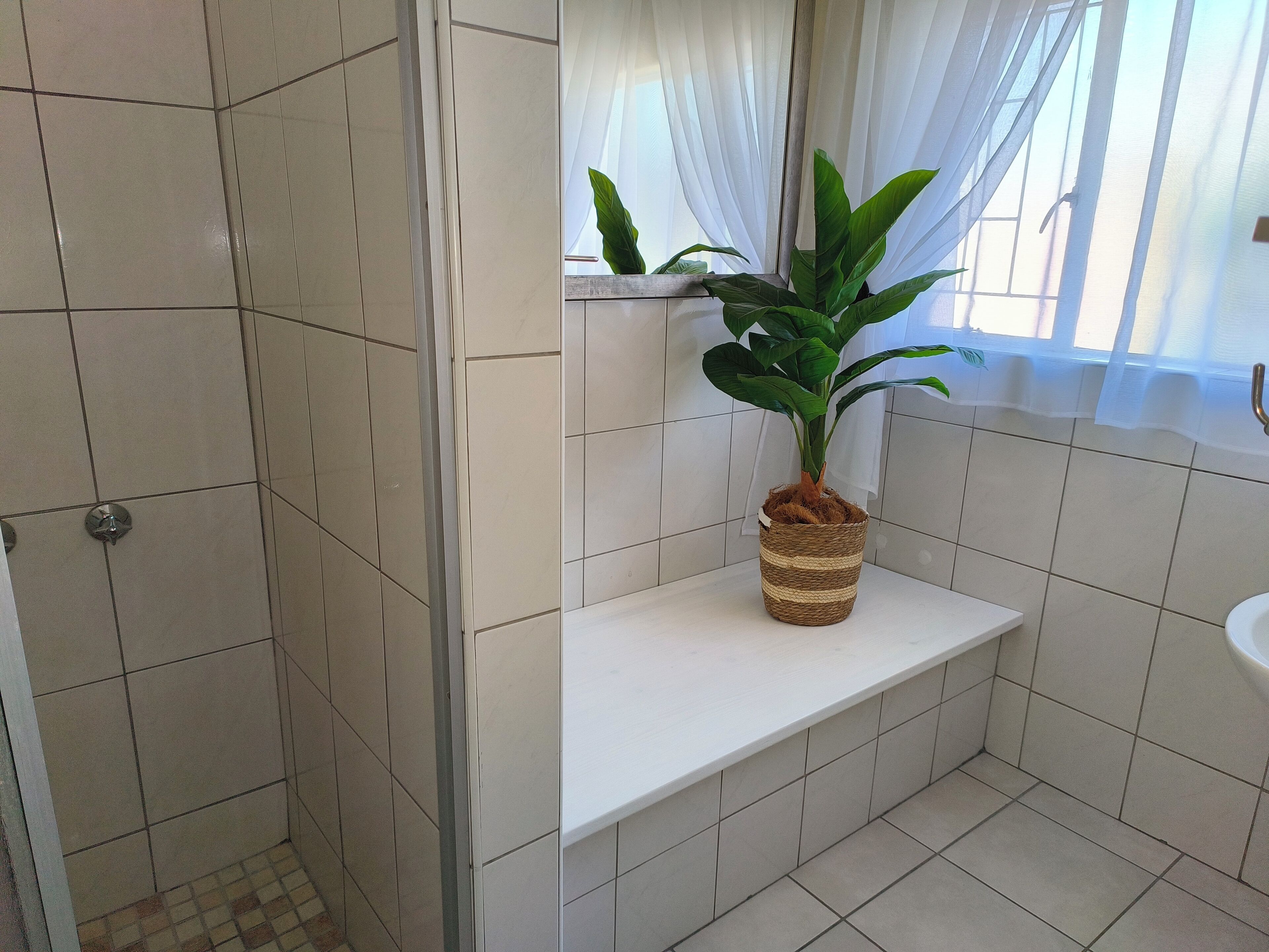 A bathroom with a shower, a sink, and a potted plant on a shelf.