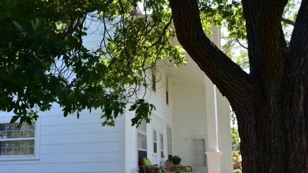 Un edificio bianco con un portico e una zona con posti a sedere all'aperto, con un grande albero.