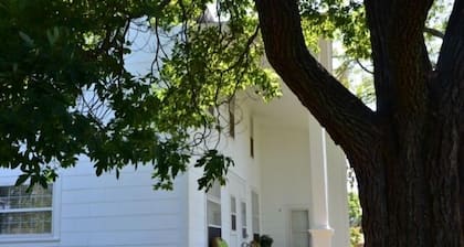 Sassafras Inn