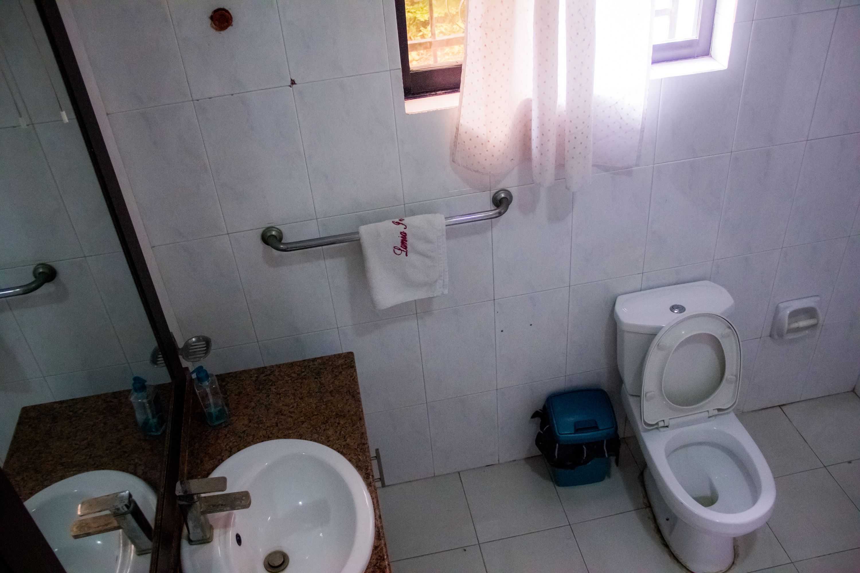 A bathroom with a sink, toilet, and a towel rack.