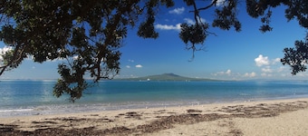 Sea la Vie in the Bays