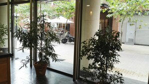 Vista a través de una ventana con plantas en macetas, una motocicleta estacionada y un edificio con una persiana baja al fondo.