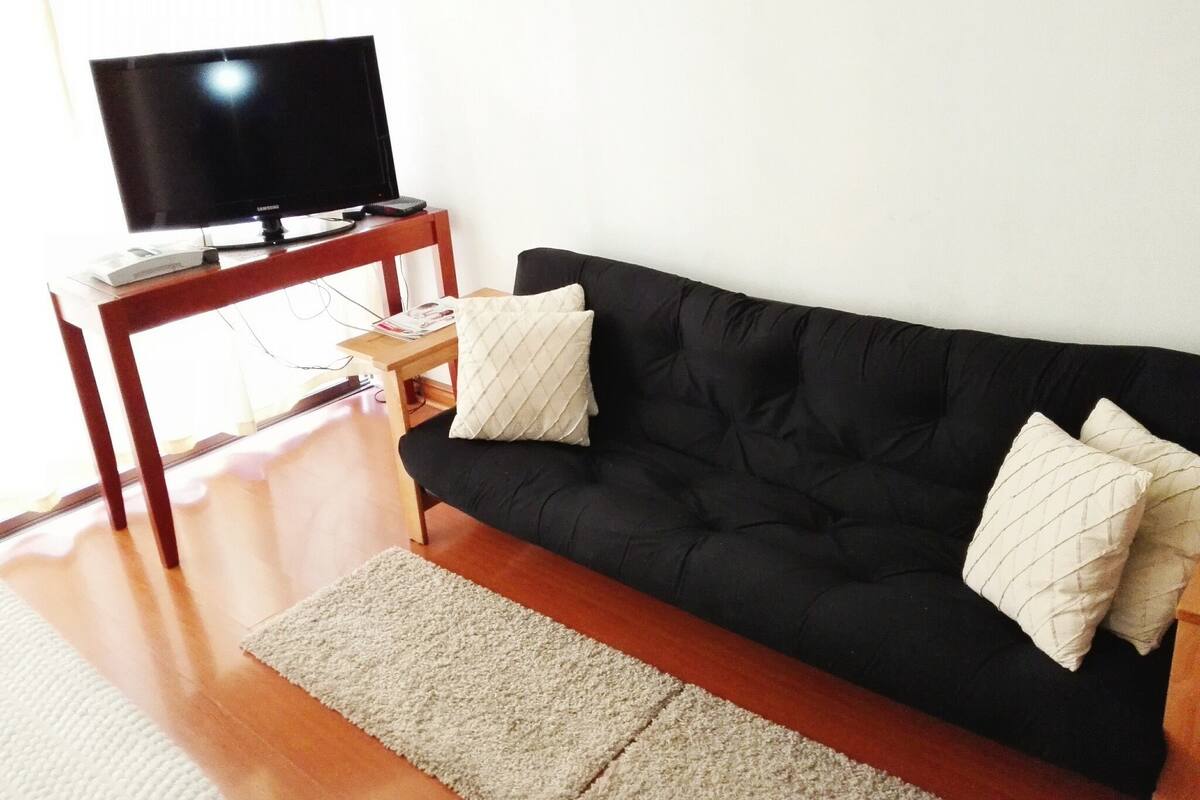 Una sala de estar con un sofá negro, dos almohadas blancas, una mesa de centro de madera y un televisor de pantalla plana, además de una alfombra color beige.