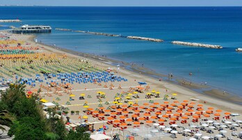 Playa privada en los alrededores, traslado desde/hacia la playa gratis