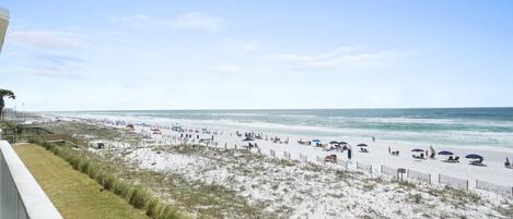 A beach with a wooden fence, beach chairs, umbrellas, and a grassy area.