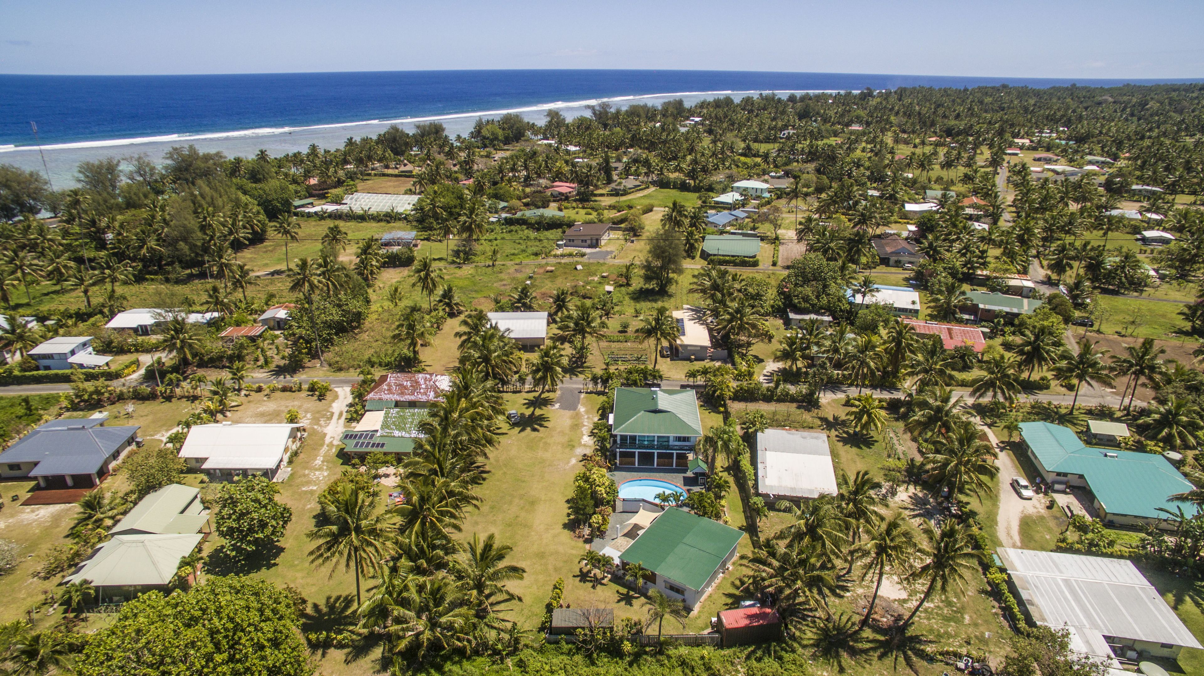 An aerial view of a coastal residential area with houses, palm trees, and a beach.