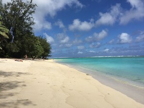Una playa con aguas turquesas cristalinas, una orilla arenosa y algunos árboles.