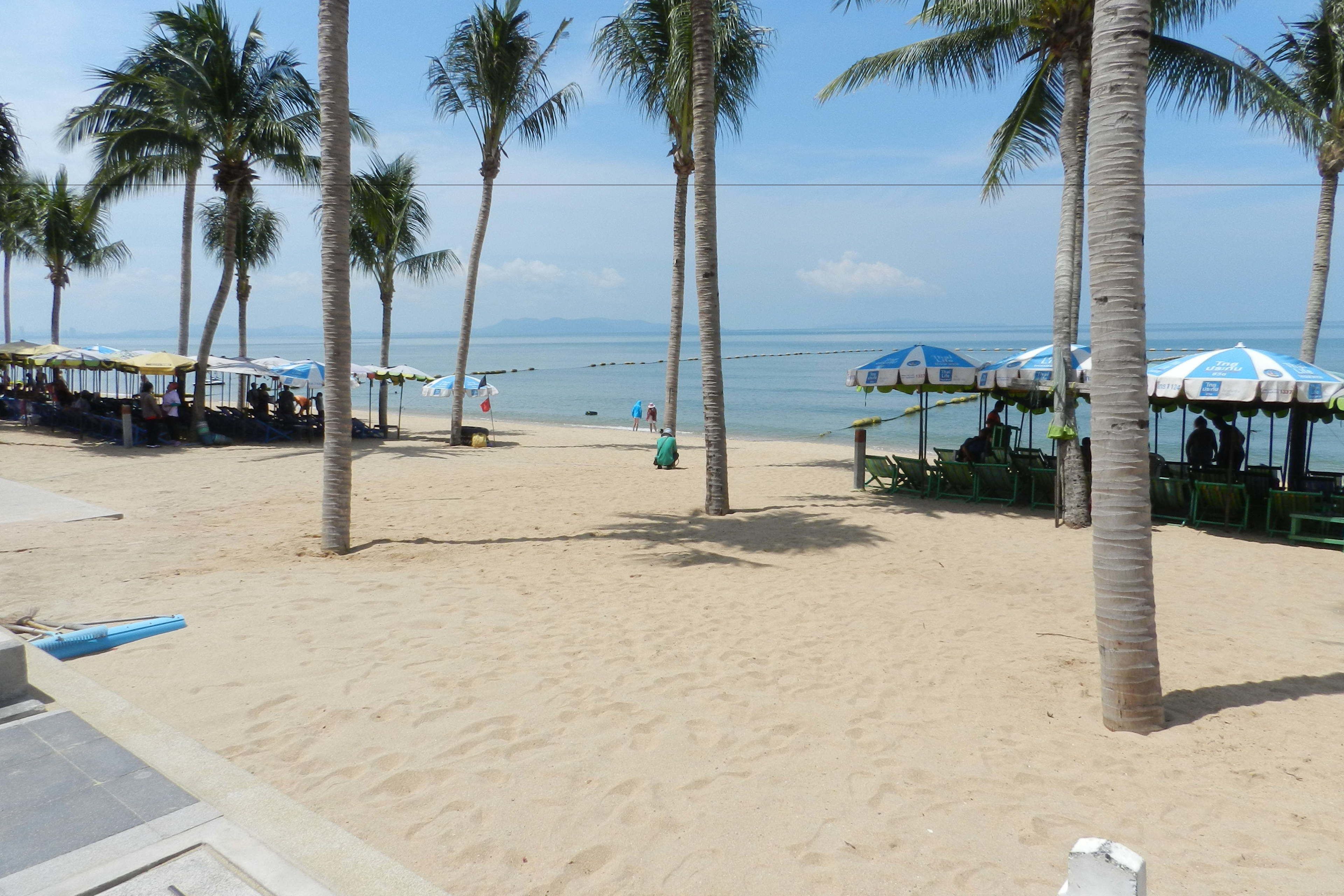 Una playa con palmeras, sombrillas y una orilla arenosa.