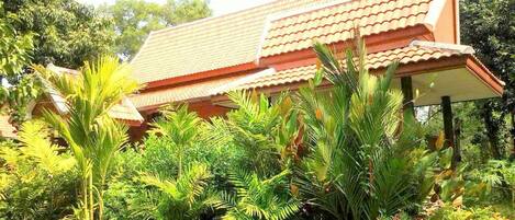 A house with a tiled roof and surrounded by lush greenery.
