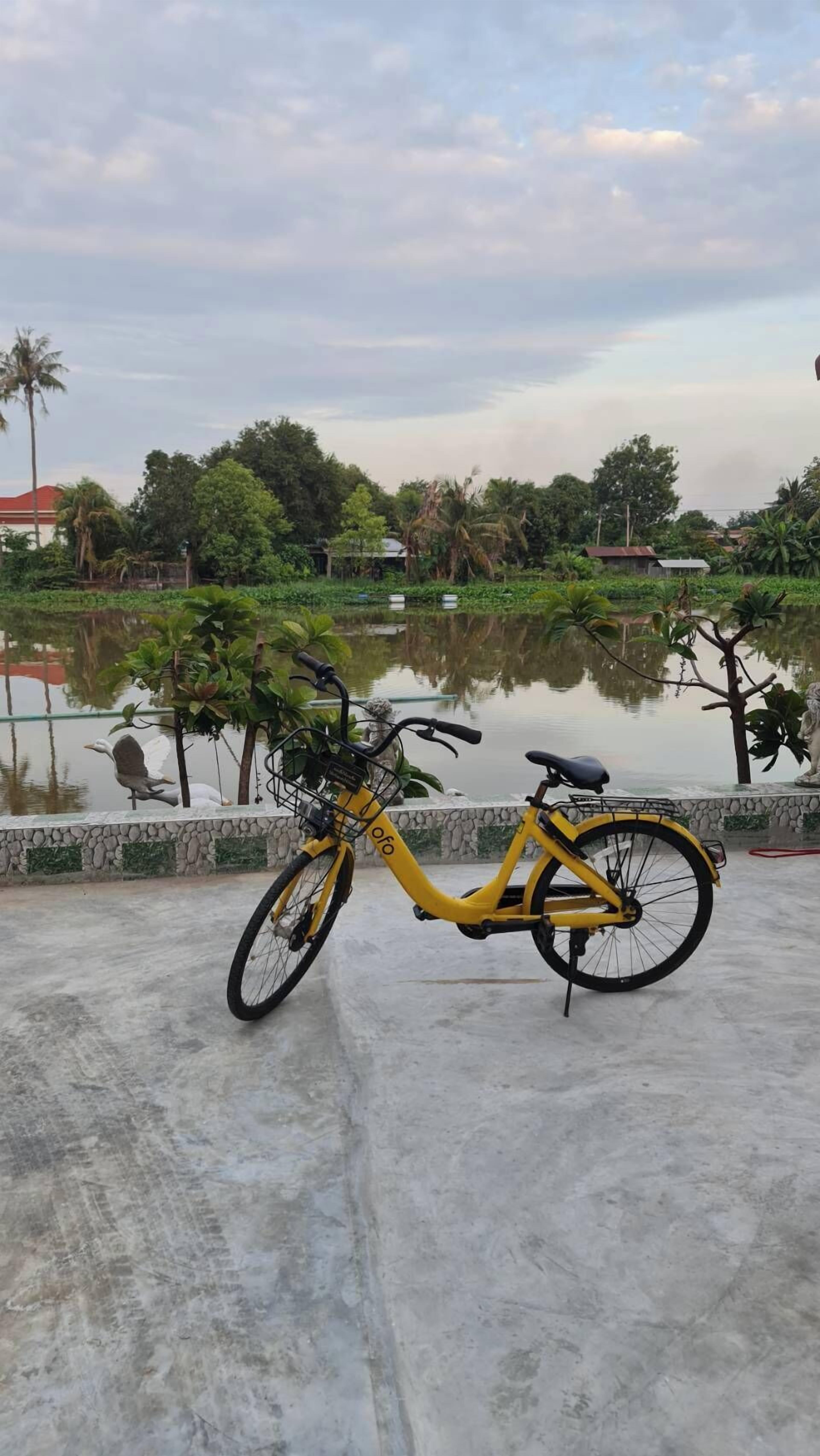 Una bicicleta amarilla estacionada cerca de un cuerpo de agua, con un muro de piedra y follaje al fondo.