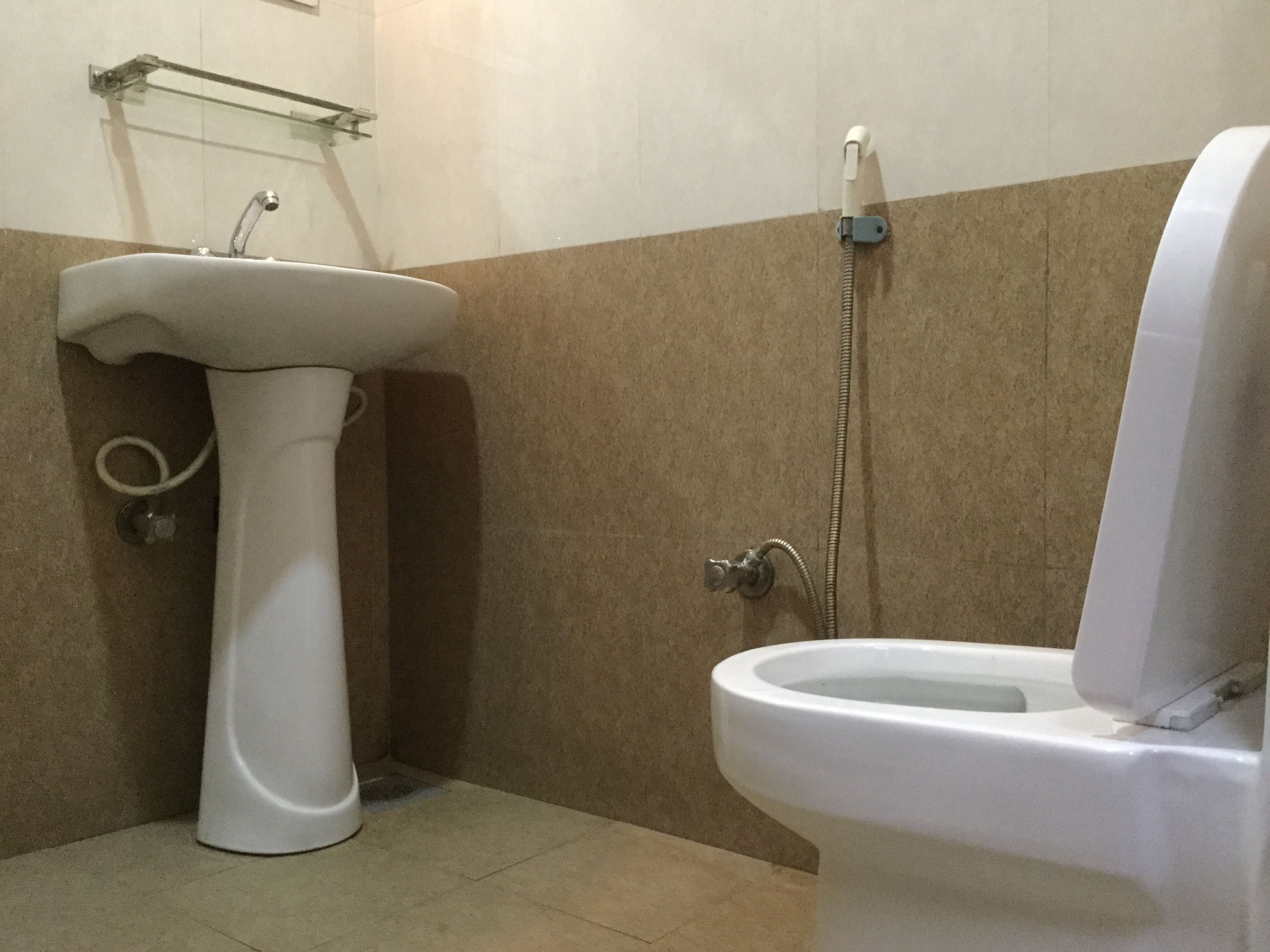 A bathroom with a pedestal sink, a toilet, and a shower head.