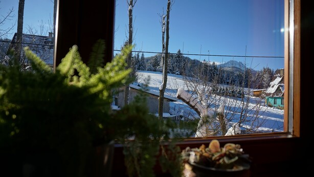 A window view of a snowy landscape with bare trees and a distant mountain. - MSC Apartments Honeymoon (Zakopane)