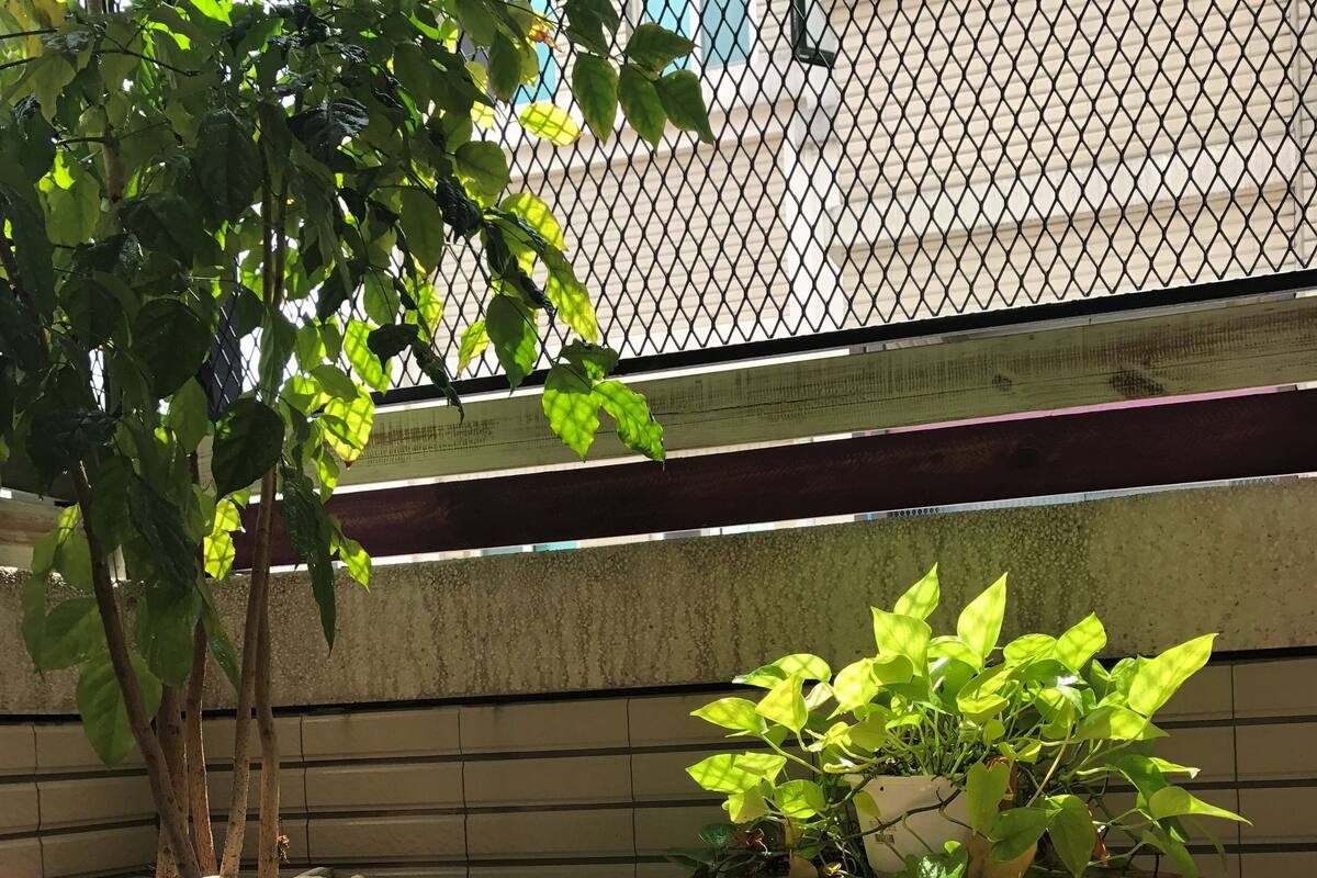 Un patio con una mesa y sillas de cerámica, rodeado de plantas en macetas y una cerca de metal.