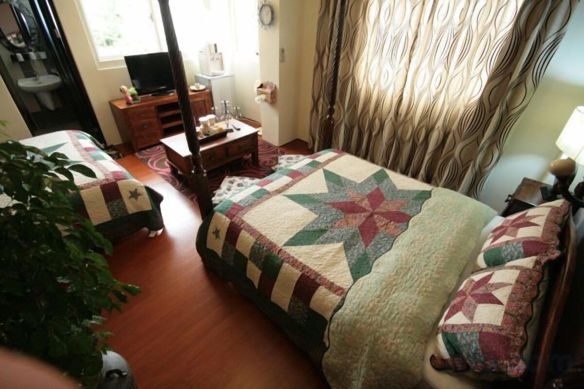 A bedroom with a large bed, a dresser, a television, and a window with curtains.
