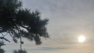 Standard Double Room, Sea View | Balcony view