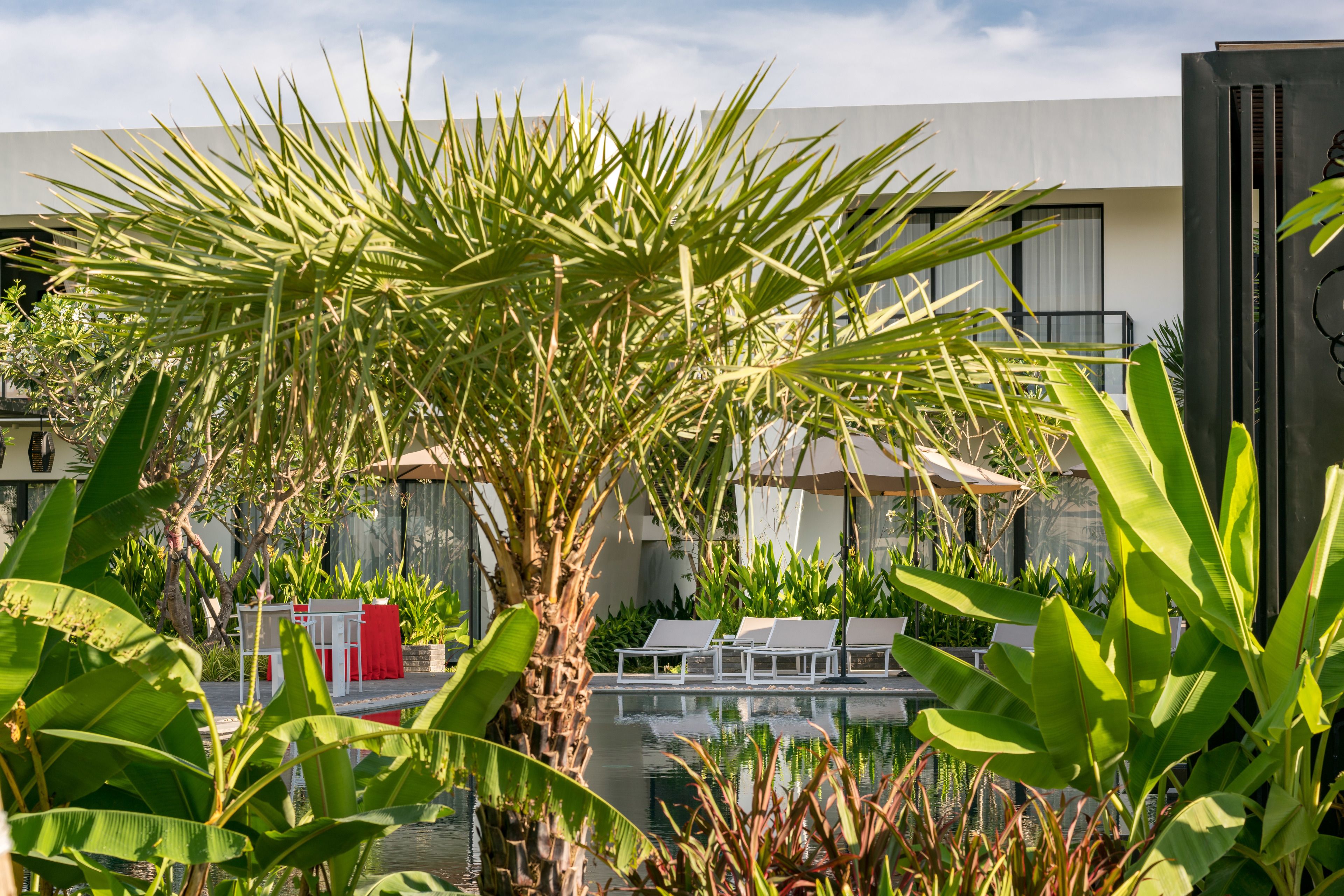 A pool area with lounge chairs and a palm tree, surrounded by lush greenery.