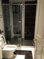 Uma casa de banho moderna com chuveiro em cabine de vidro, sanita e bidé.