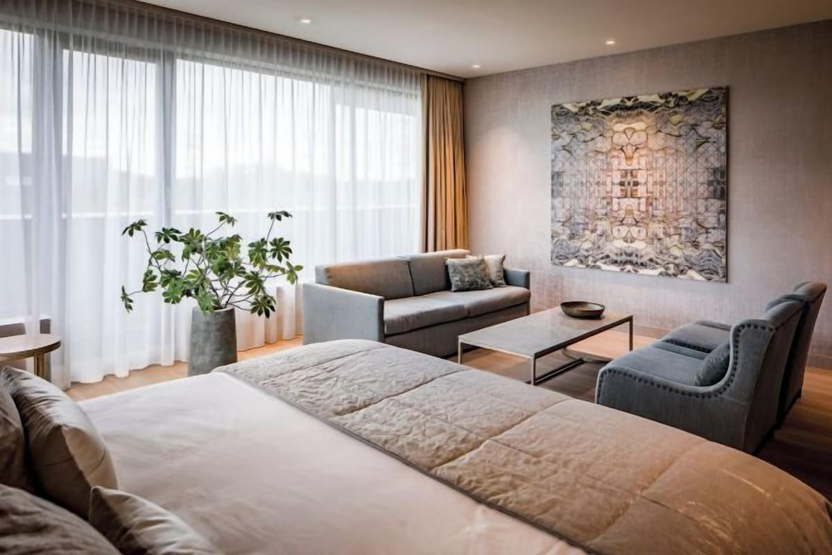 Una habitación de hotel moderna con una cama grande, un sofá, una mesita de café y una planta en maceta.