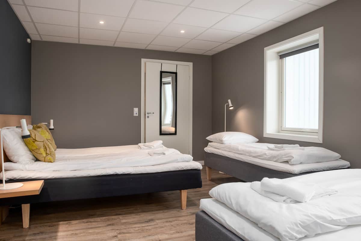 Doppia familiare | Biancheria da letto di alta qualità, una scrivania, insonorizzazione