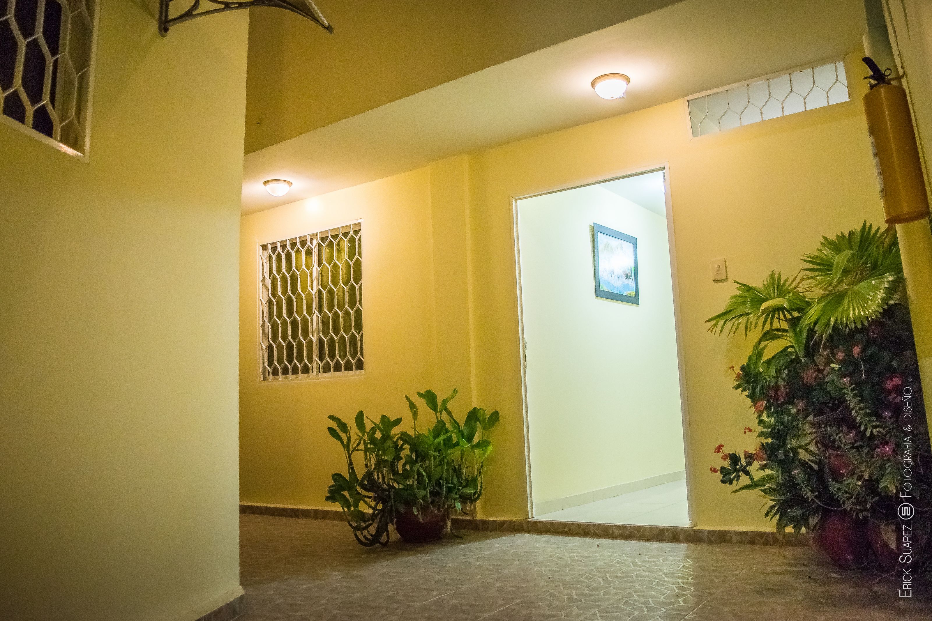 Un couloir avec un sol carrelé, une porte ornée d’un cadre et des plantes en pot.