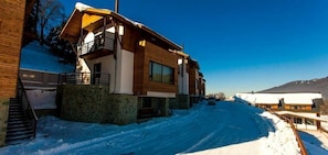 Exterior detail - Crystal Hill Villas (Borjomi)