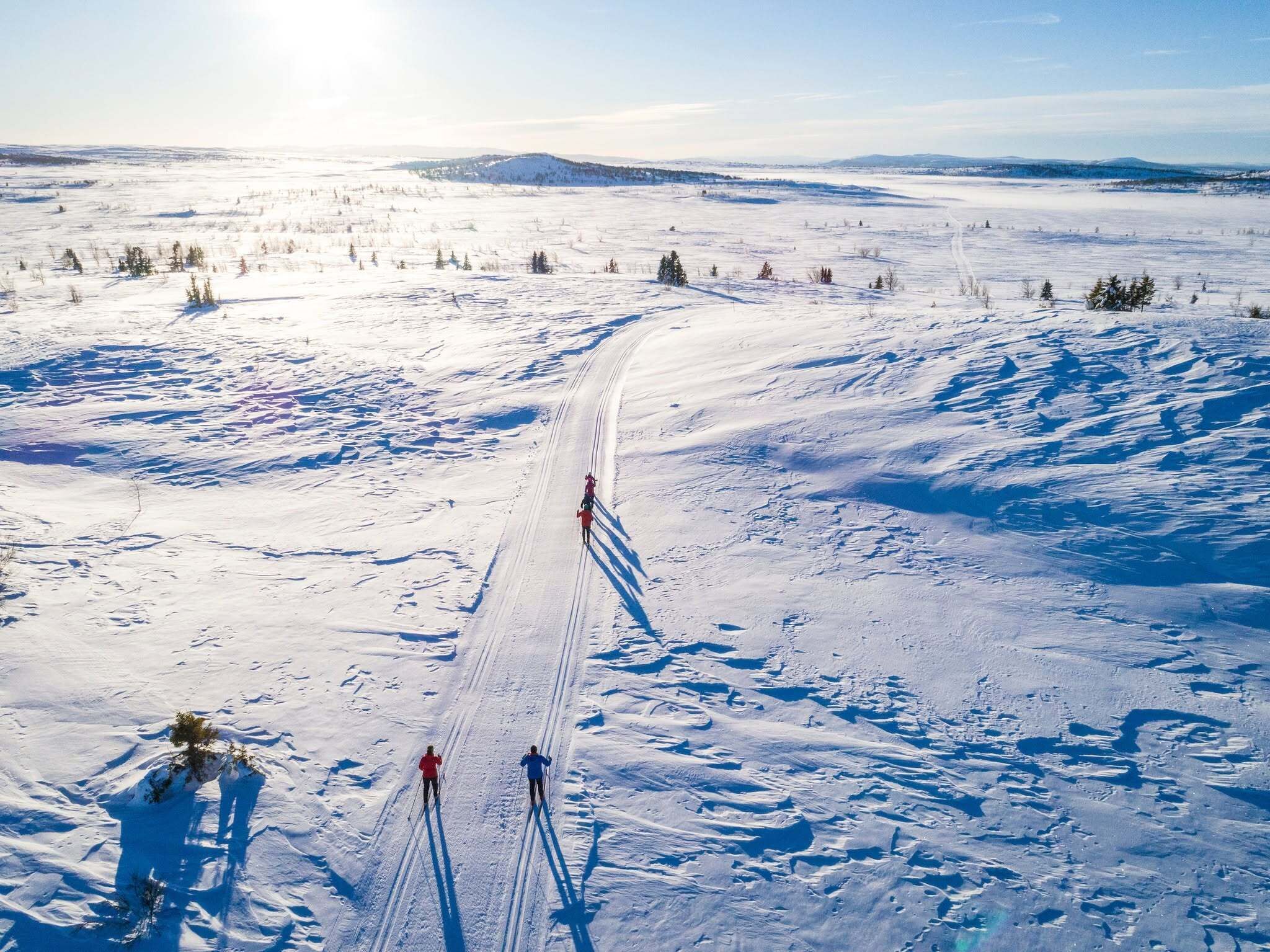 A snowy landscape with a clear sky, a ski trail, and sparse trees.