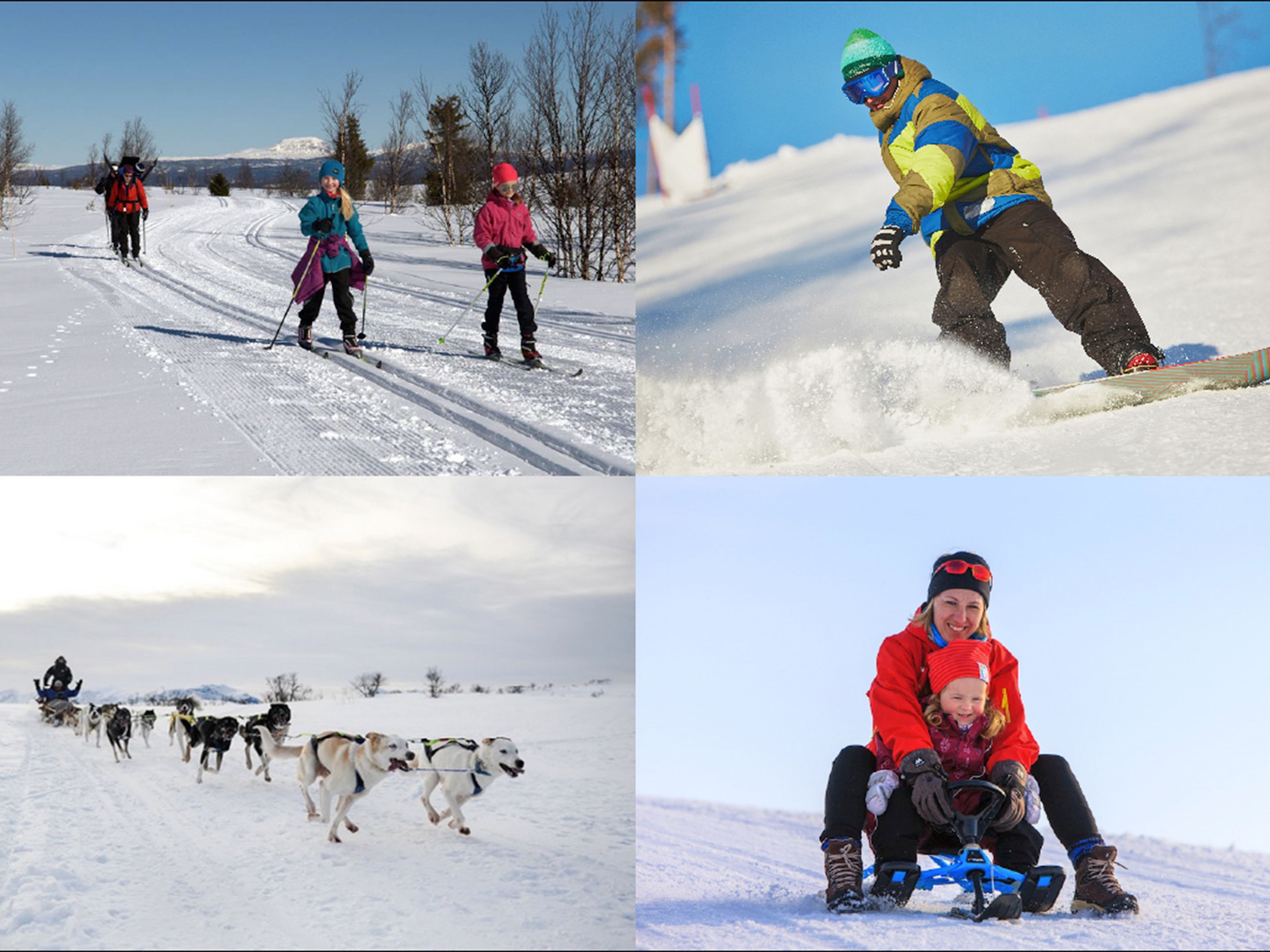 A snow-covered landscape with people skiing and snowmobiling, and a sled dog team pulling a sled.