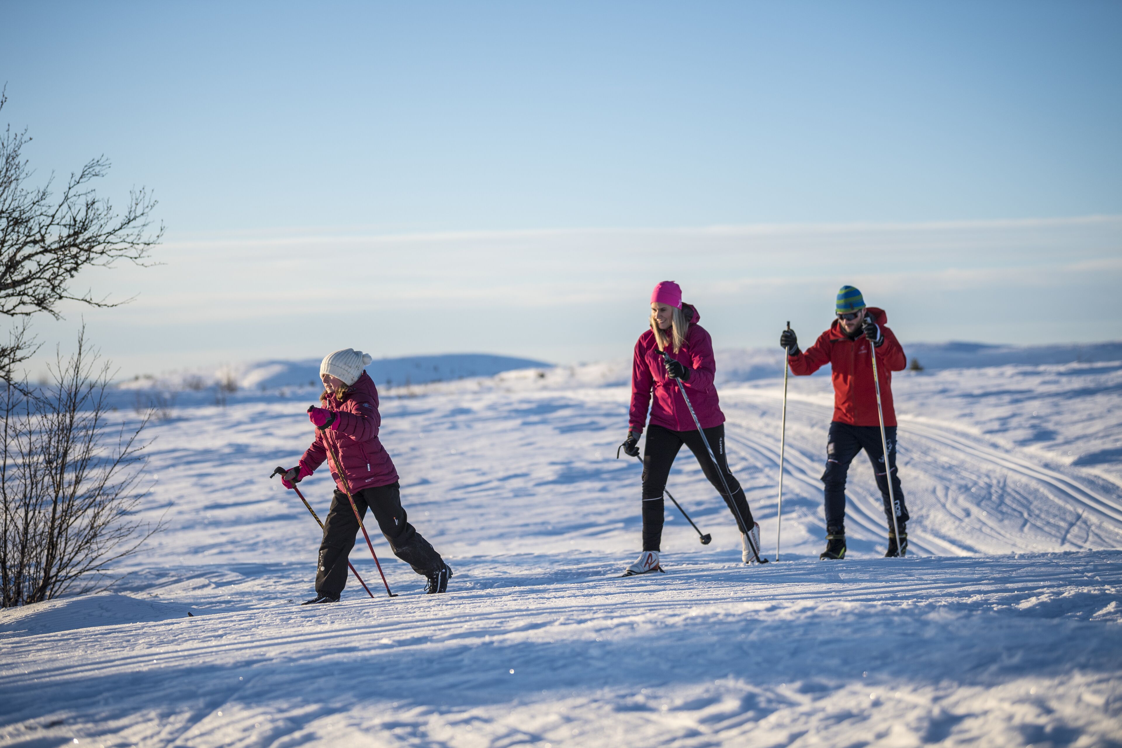 A snowy landscape with three people skiing.