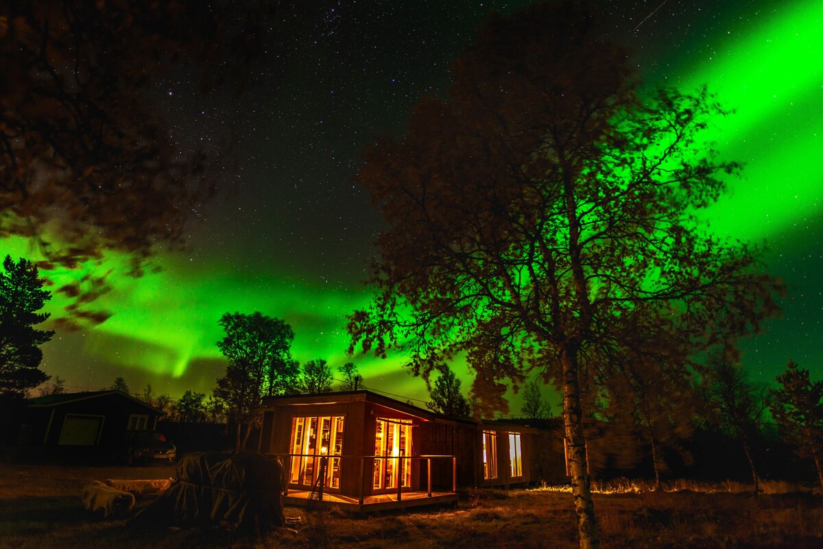 Arctic Gourmet Cabin — norrsken och gourmetmat i Lappland