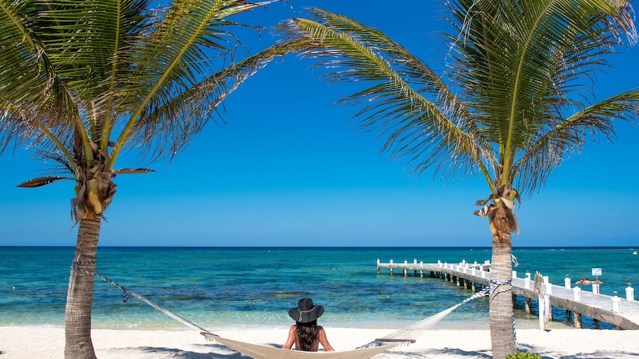 The Reef Beach Resort - All Inclusive - East End, Grand Cayman