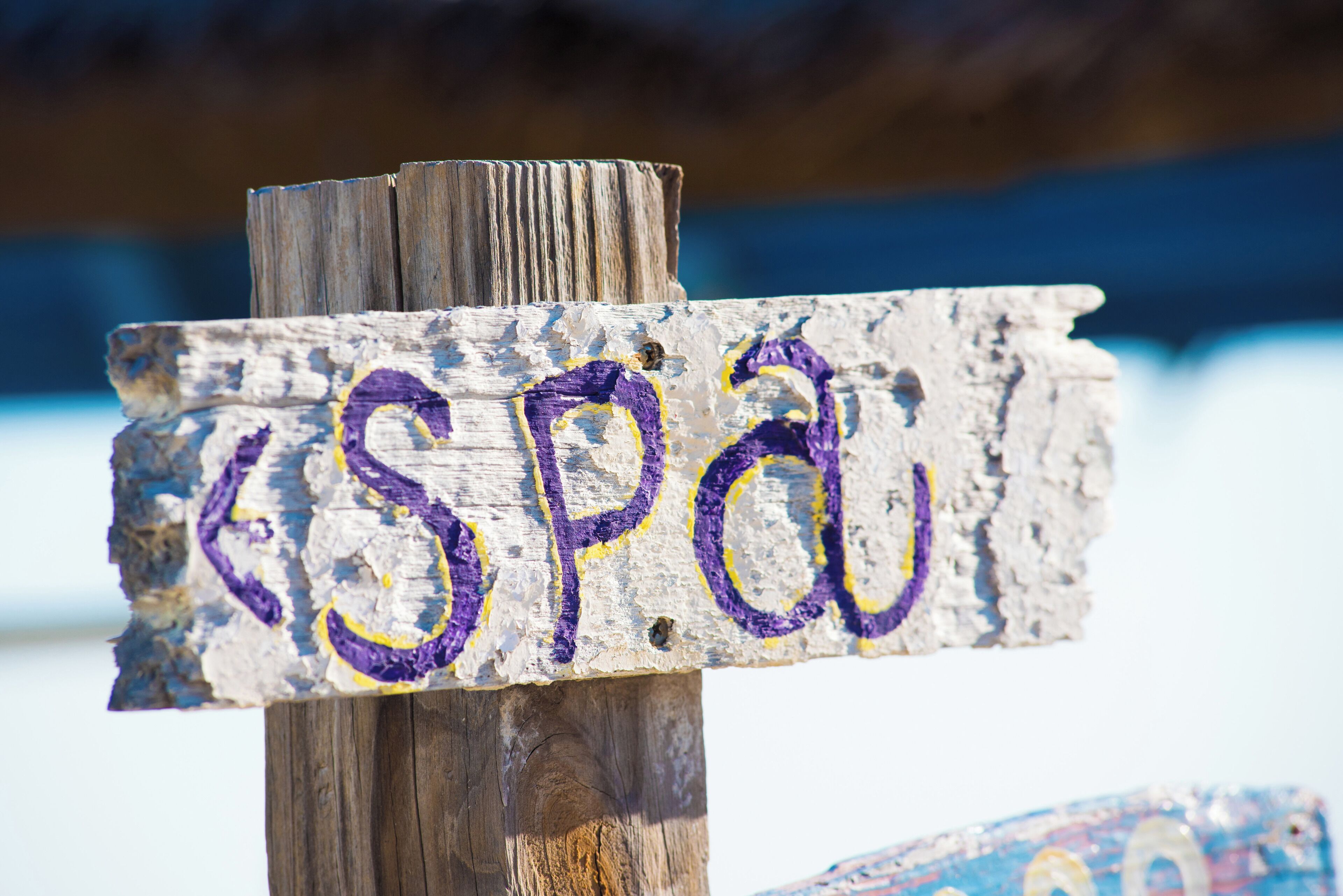 Un letrero de madera con las letras 'SPA' pintadas en morado y amarillo.