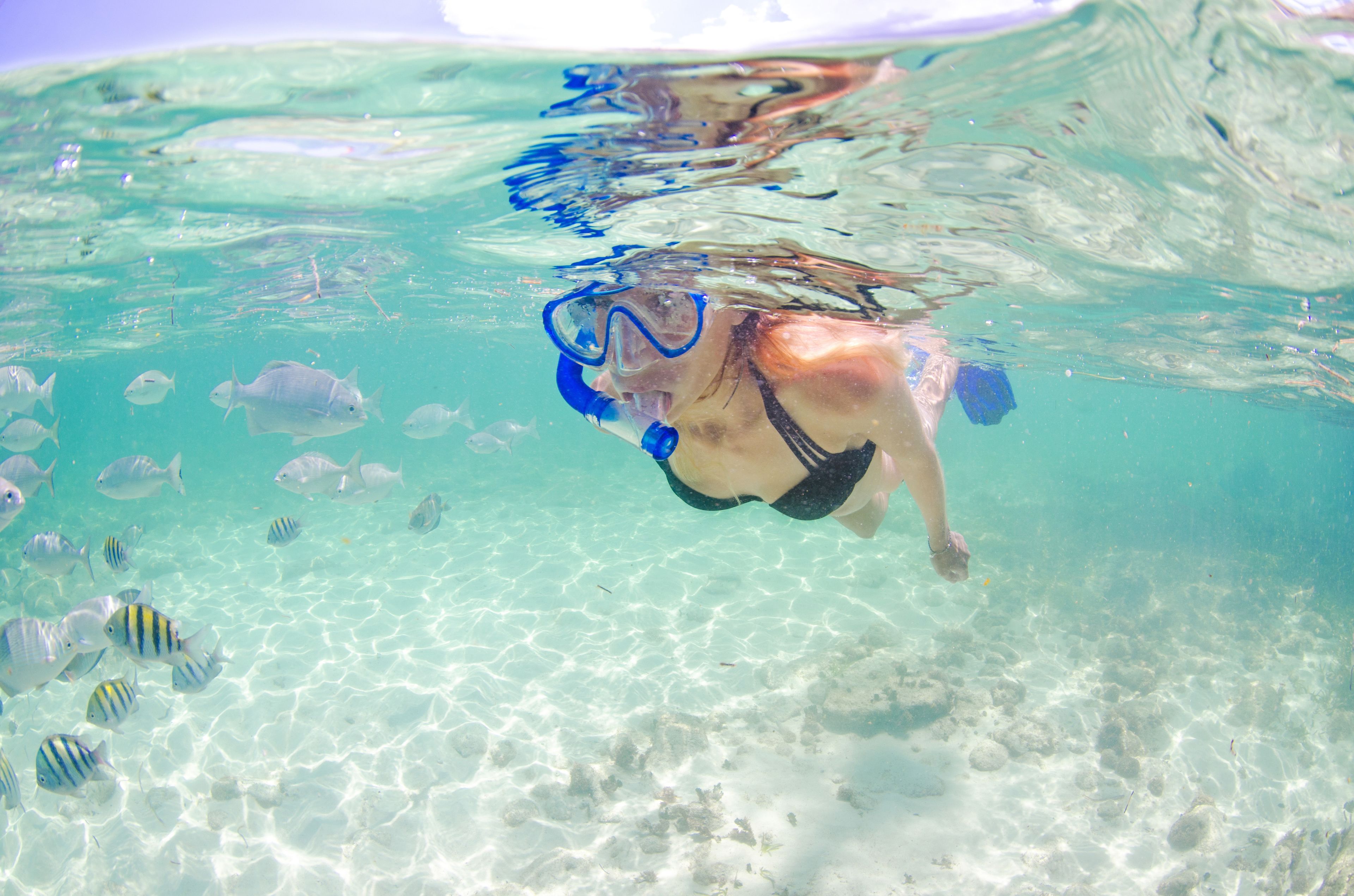 Vista subacuática de una persona haciendo snorkel con peces en agua cristalina.