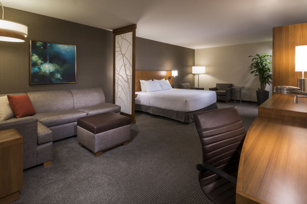 Room, 1 King Bed with Sofa bed, Accessible (with Shower) | Desk, laptop workspace, iron/ironing board, free cribs/infant beds
