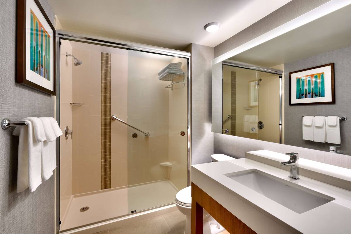 combined shower/bathtub, designer toiletries, hair dryer, towels