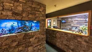 Resepsjon