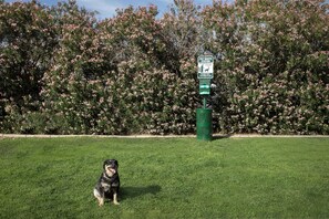 Un perro sentado en un césped, con una estación de limpieza para mascotas y un cartel de fondo.