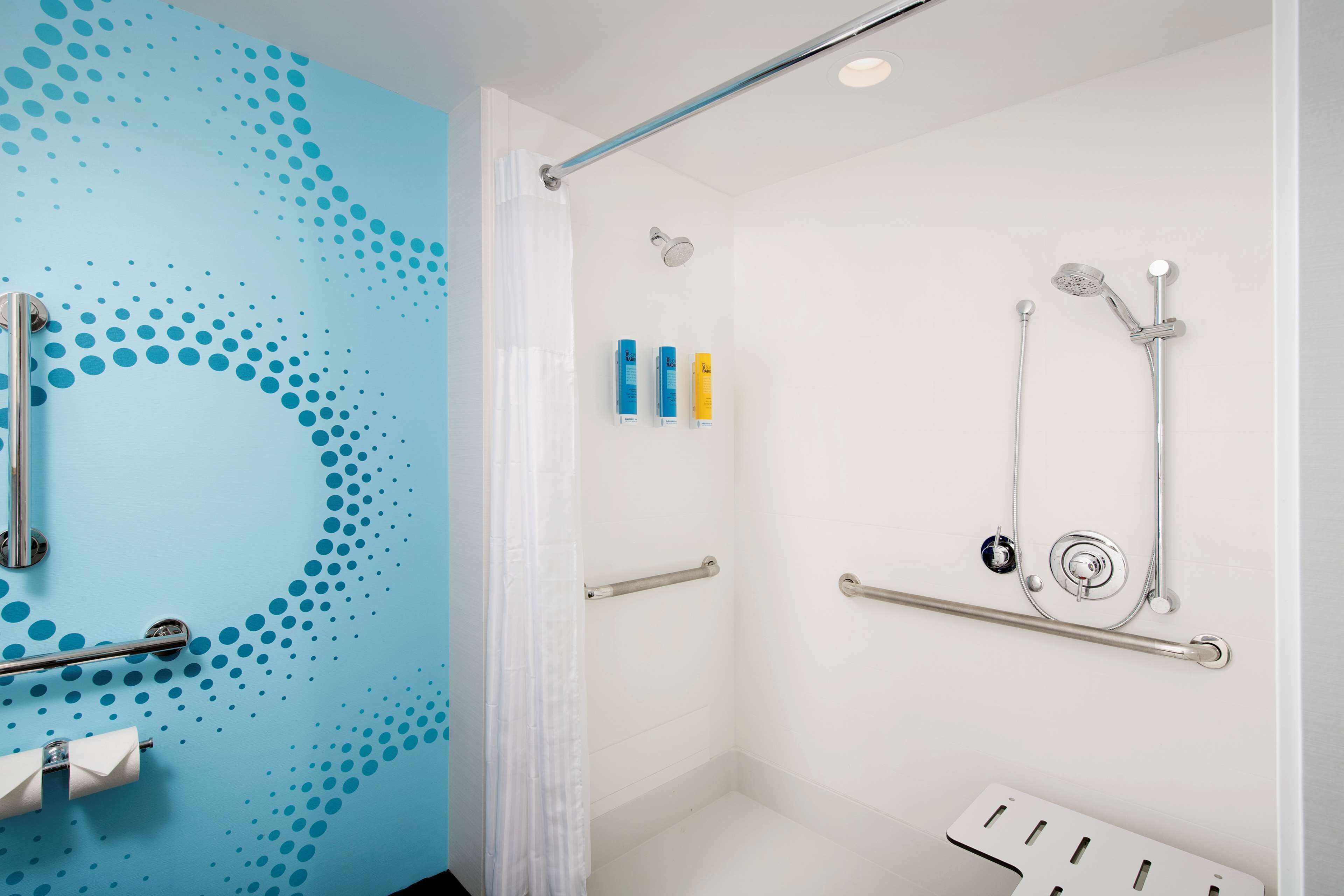 room, 1 king bed, accessible, non smoking (roll-in shower) | bathroom shower