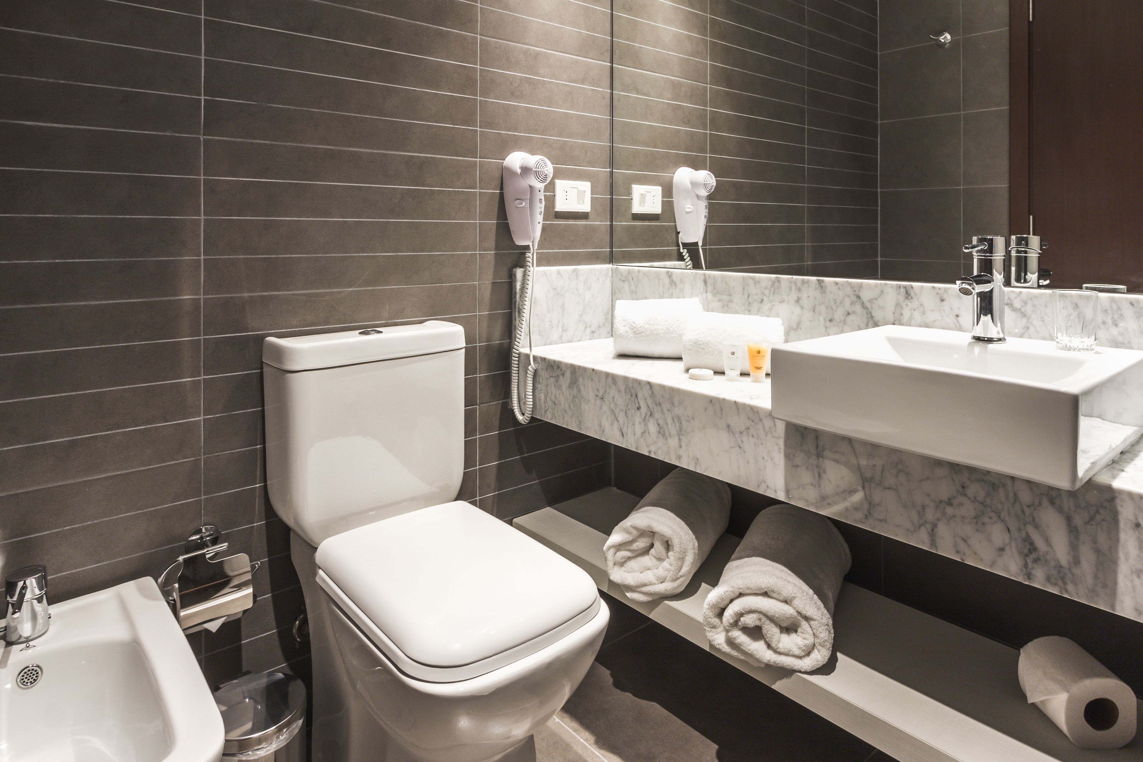 shower, free toiletries, bidet, towels