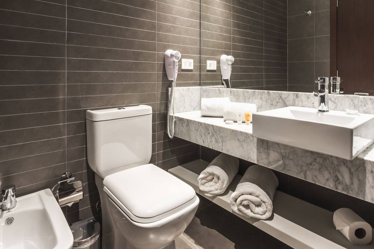 shower, free toiletries, bidet, towels