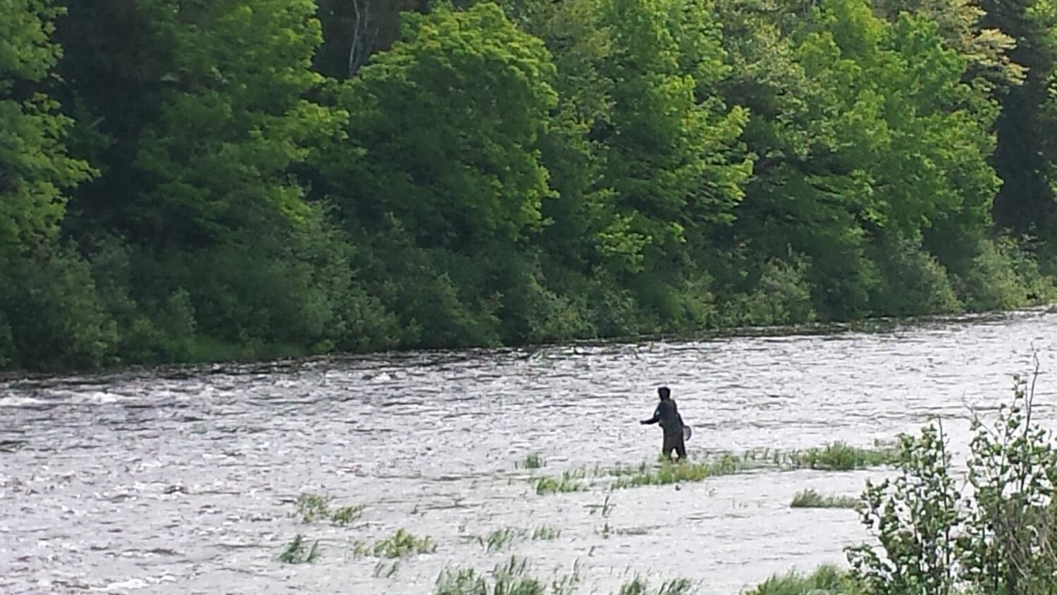 Une personne se tient dans une rivière, entourée d’une végétation luxuriante.