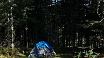Terrain de l’hébergement 