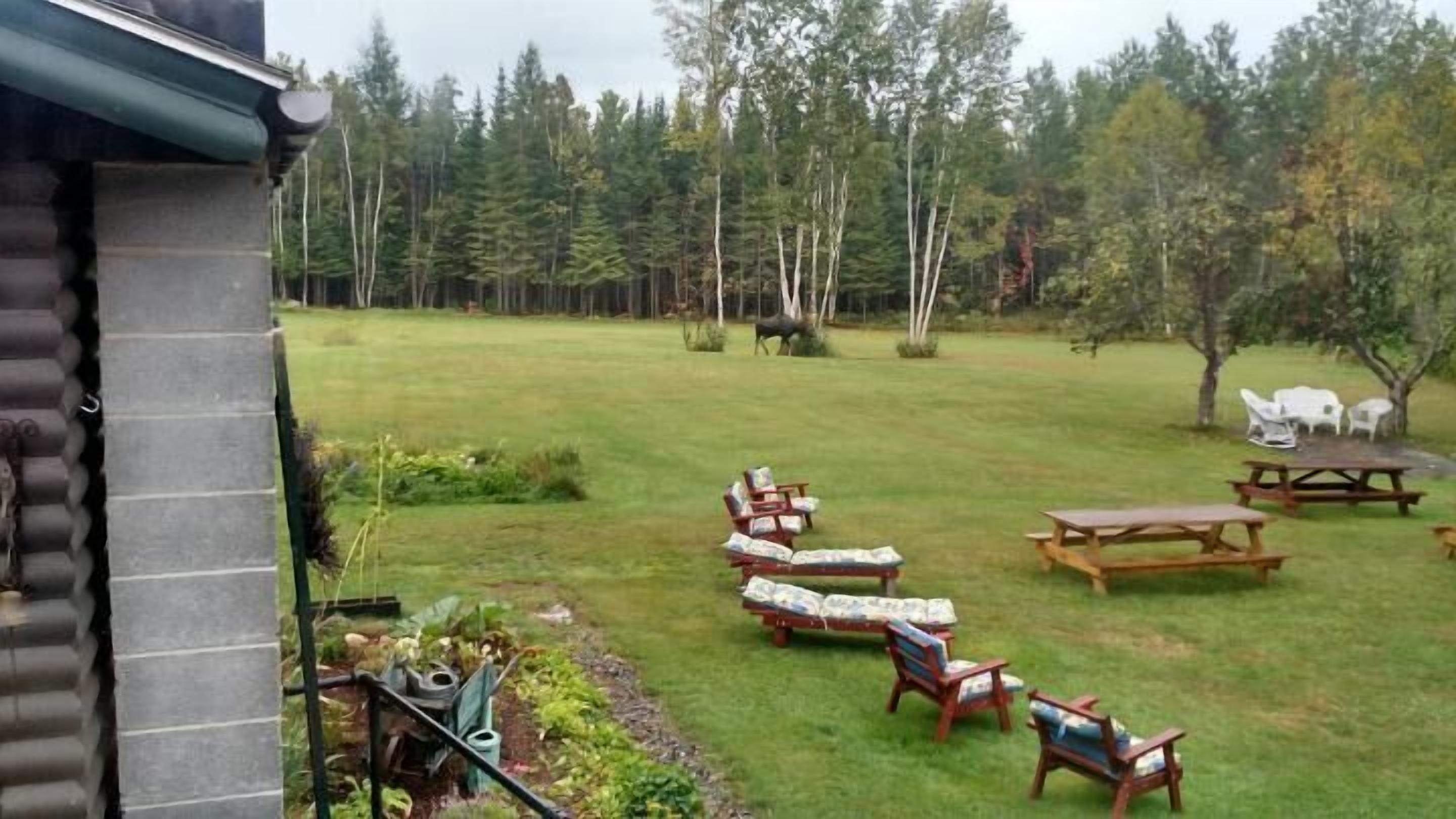 A log cabin with a grassy yard, outdoor seating, and picnic tables.