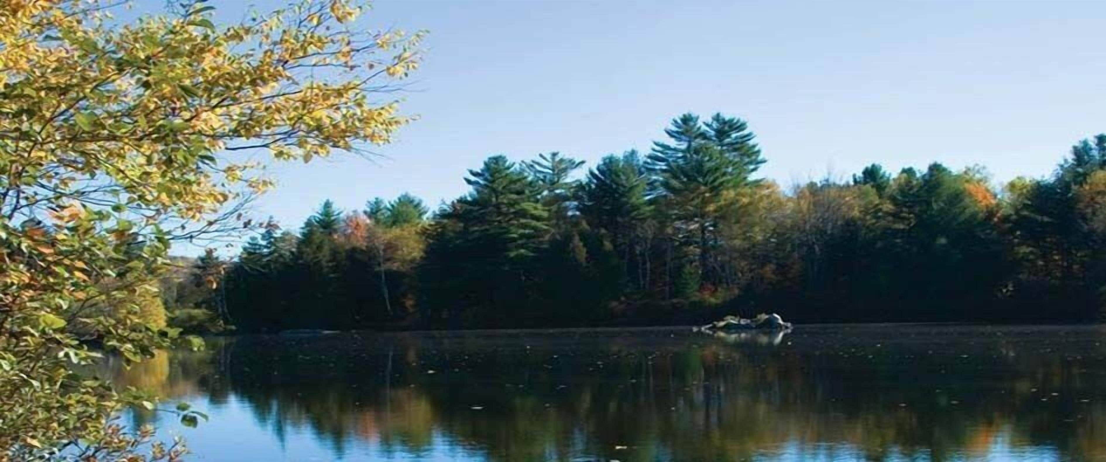 A calm lake with trees reflecting on the water, surrounded by a forest.