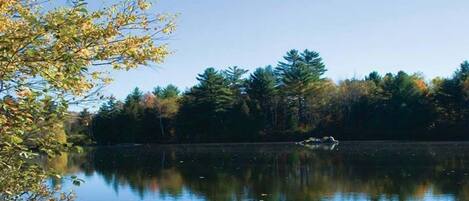 A calm lake with trees reflecting on the water, surrounded by a forest.