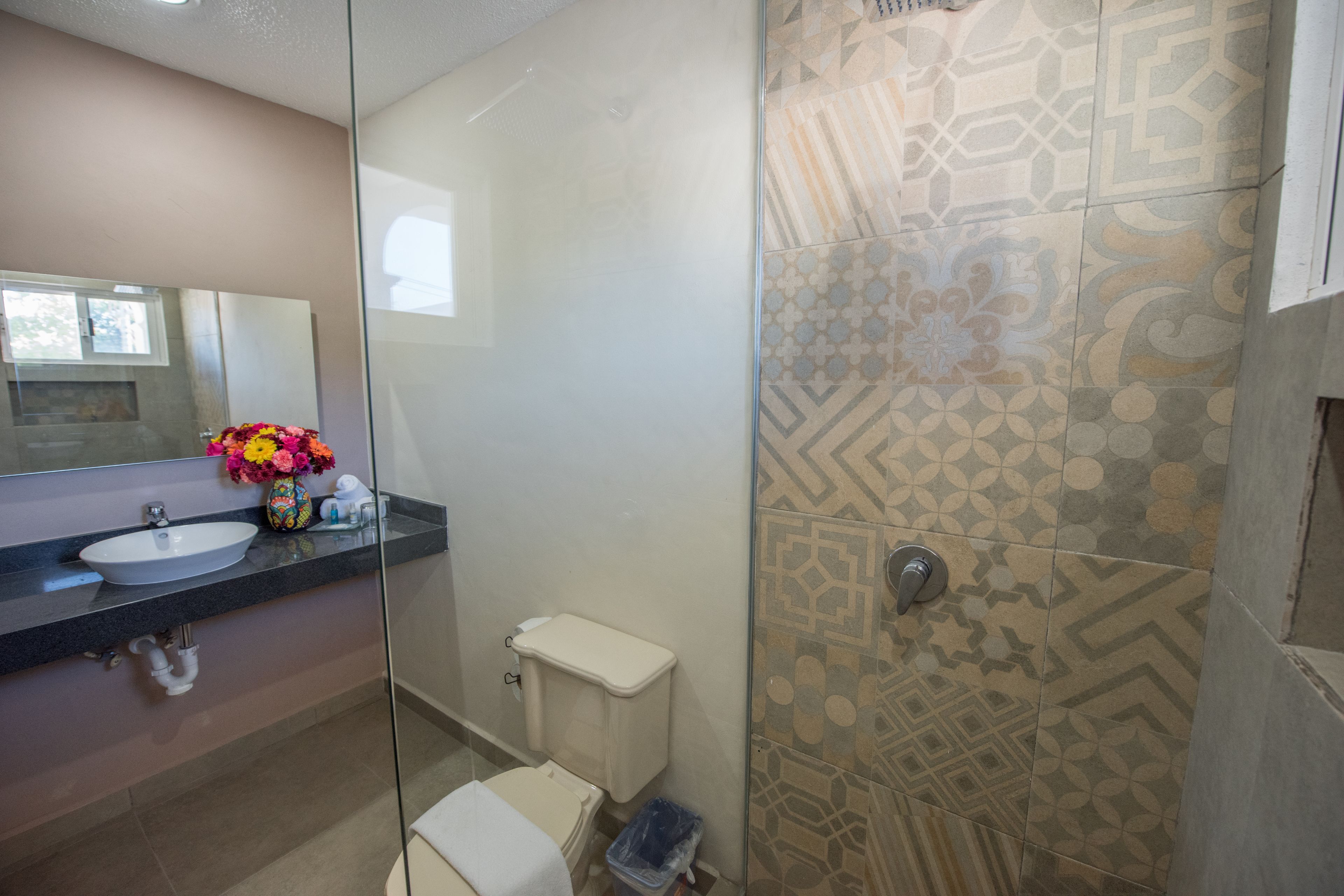Un baño con cabina de ducha de vidrio, un inodoro y un lavabo con un florero.