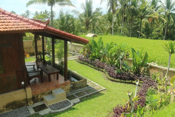 Property grounds - Telaga House (Ubud)