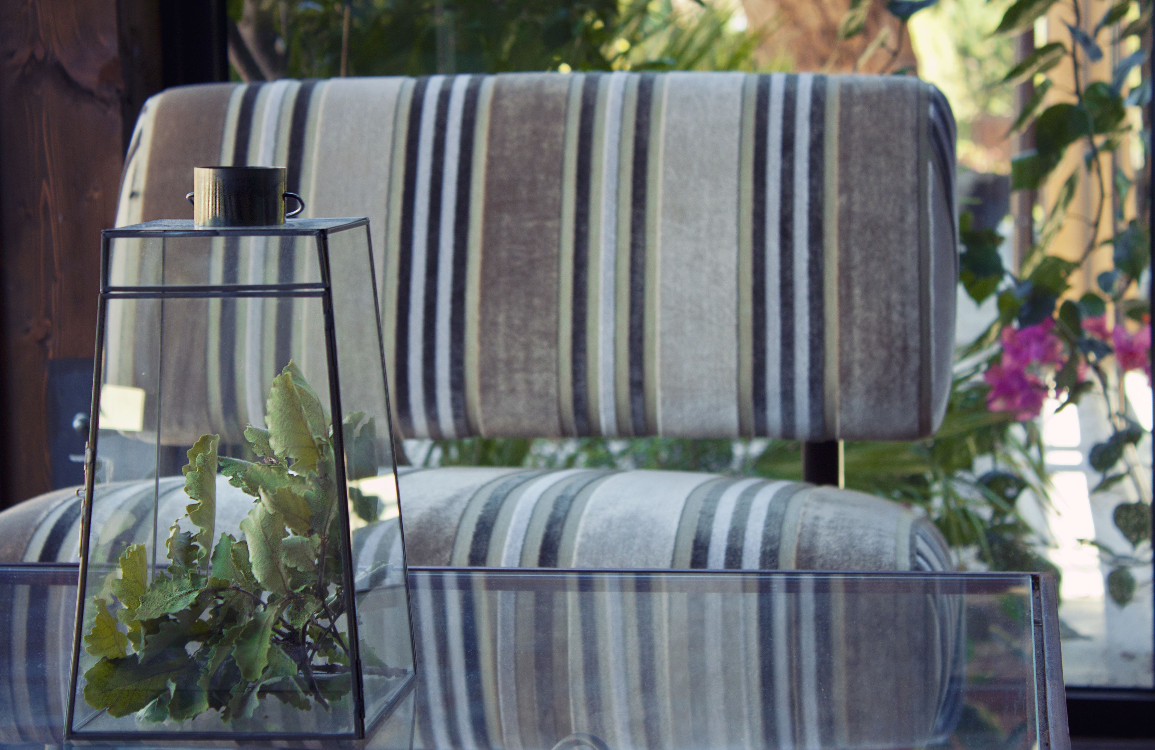 A striped sofa with a clear glass vase containing green leaves.