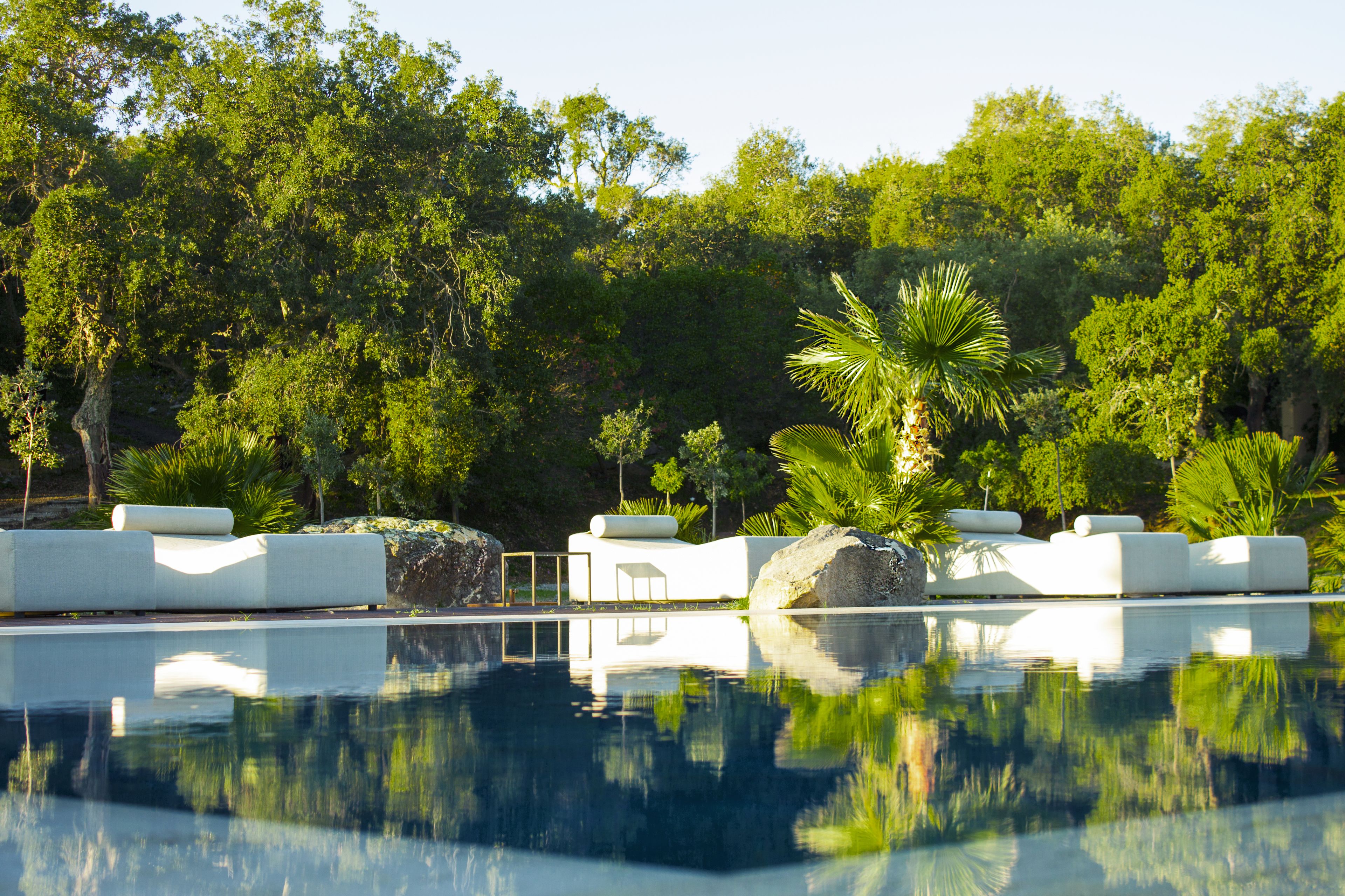 A pool area with white lounge chairs and a palm tree, surrounded by lush greenery.
