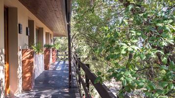 Uma área externa coberta com deck de madeira, vasos de plantas e vista para vegetação densa.